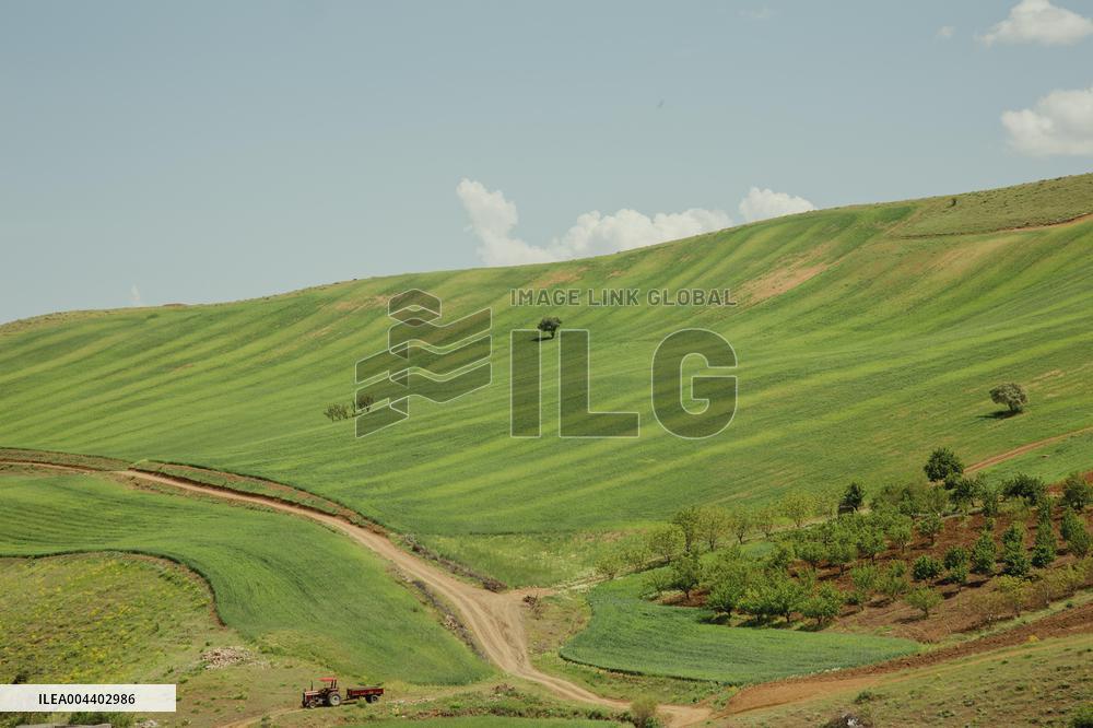 Iranian Nomads - Saqqez