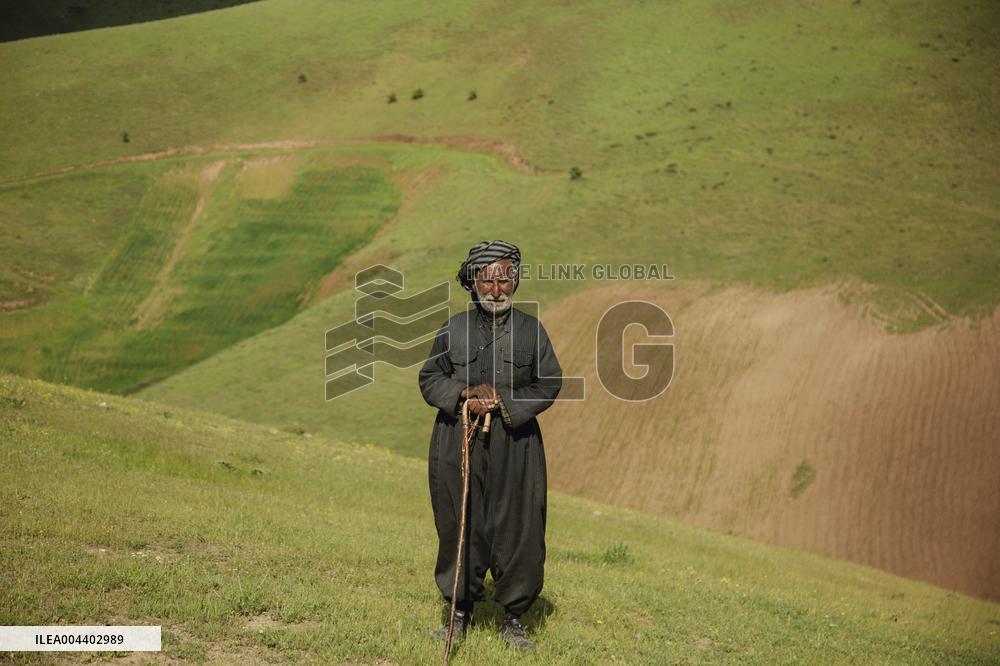 Iranian Nomads - Saqqez