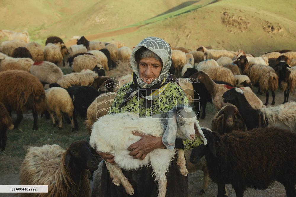 Iranian Nomads - Saqqez