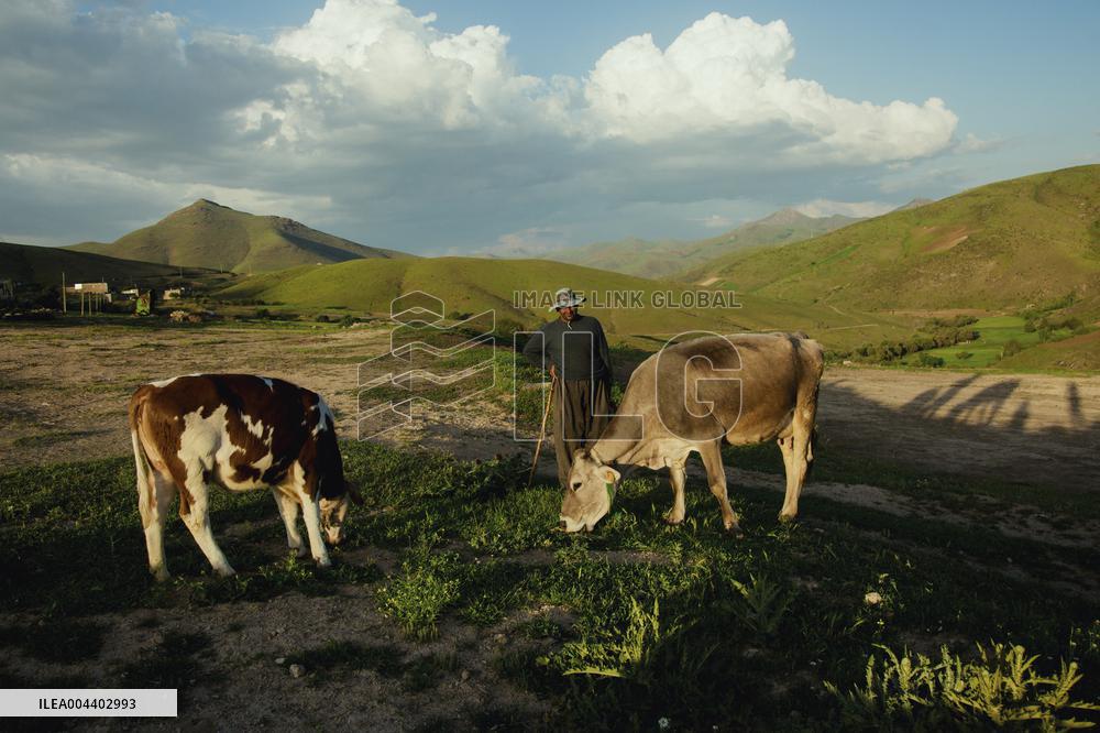 Iranian Nomads - Saqqez