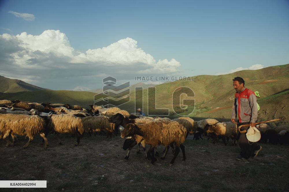 Iranian Nomads - Saqqez
