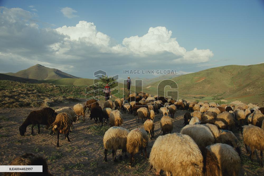 Iranian Nomads - Saqqez