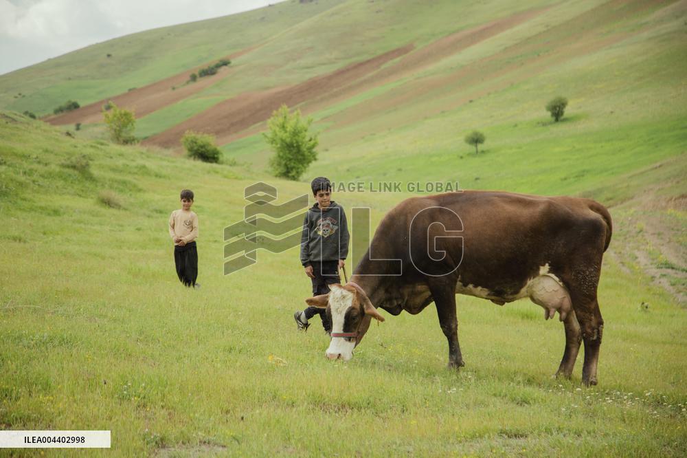 Iranian Nomads - Saqqez