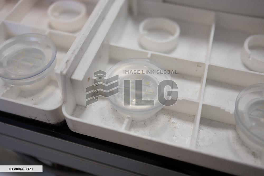 President Macron Visits EssilorLuxottica Laboratory - Wissous