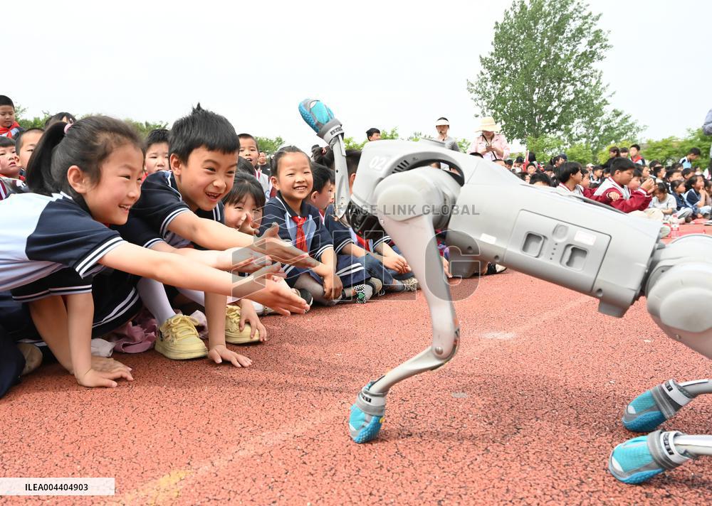 Chinese School Robot Education
