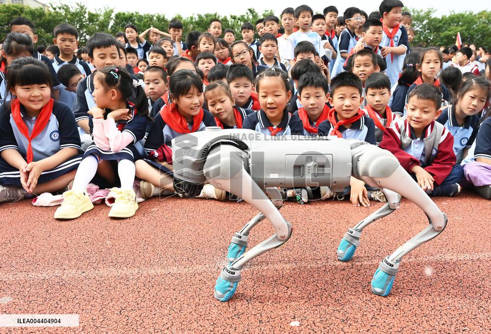 Chinese School Robot Education