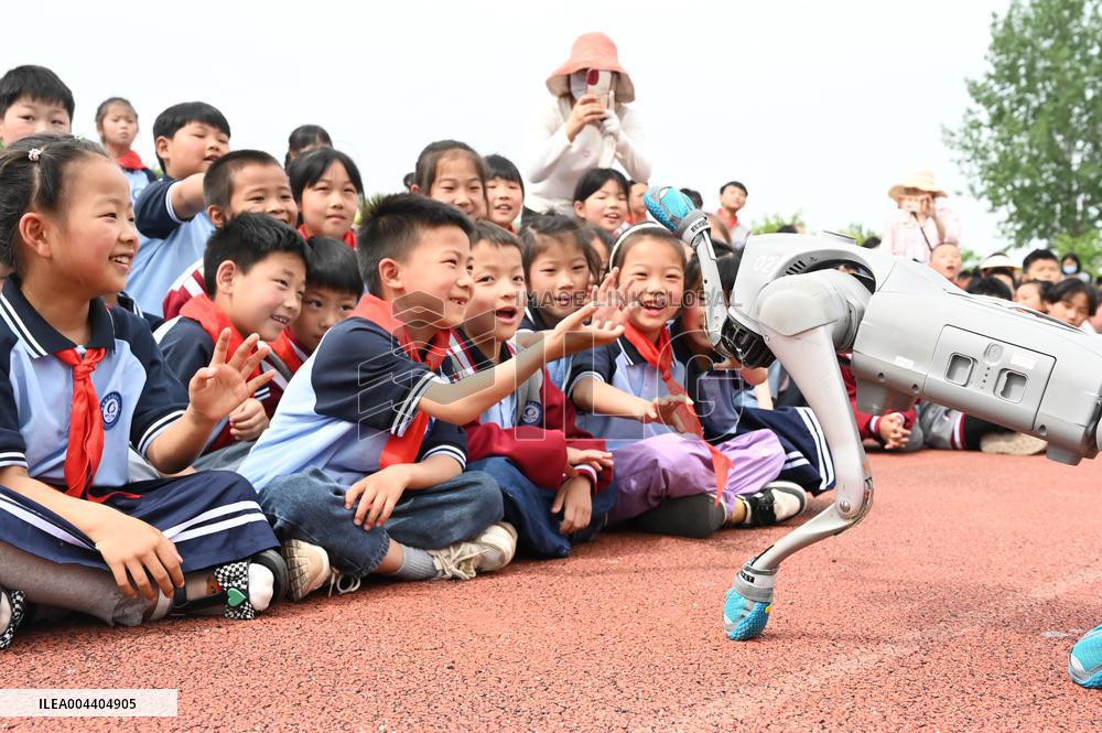 Chinese School Robot Education