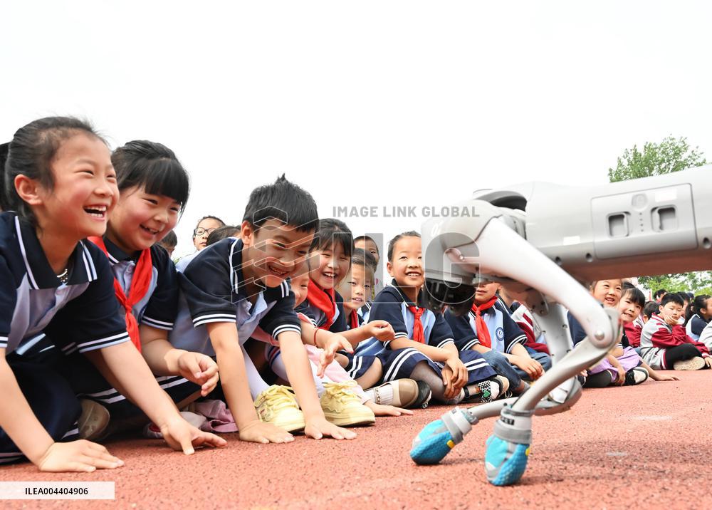 Chinese School Robot Education