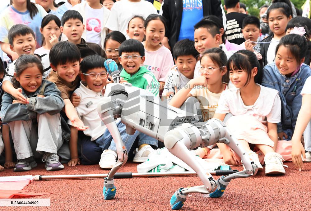 Chinese School Robot Education
