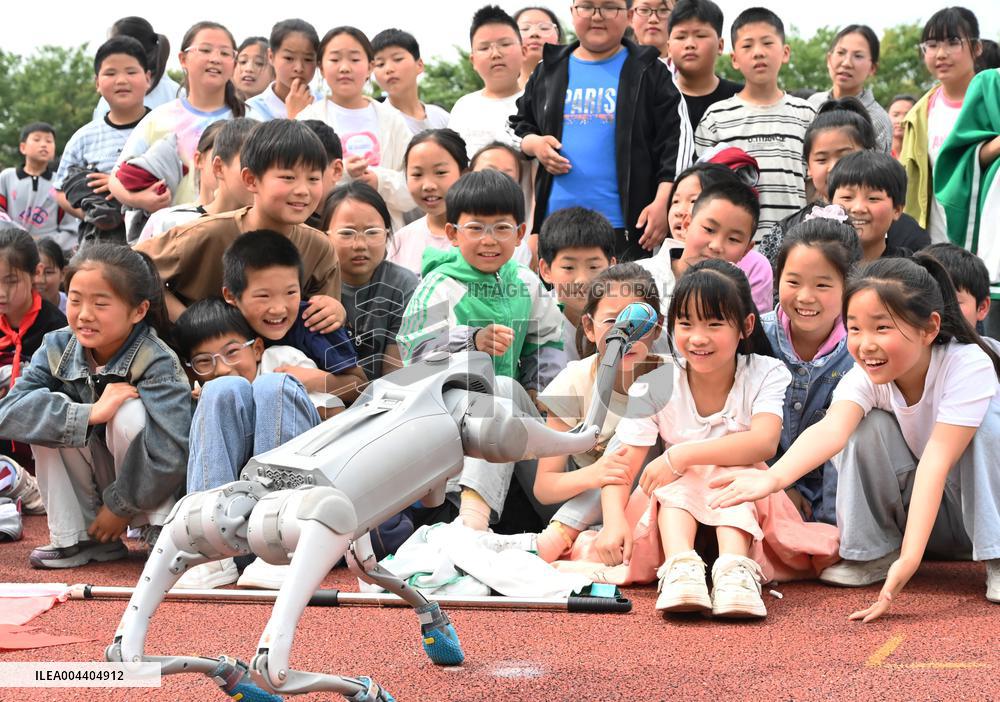 Chinese School Robot Education