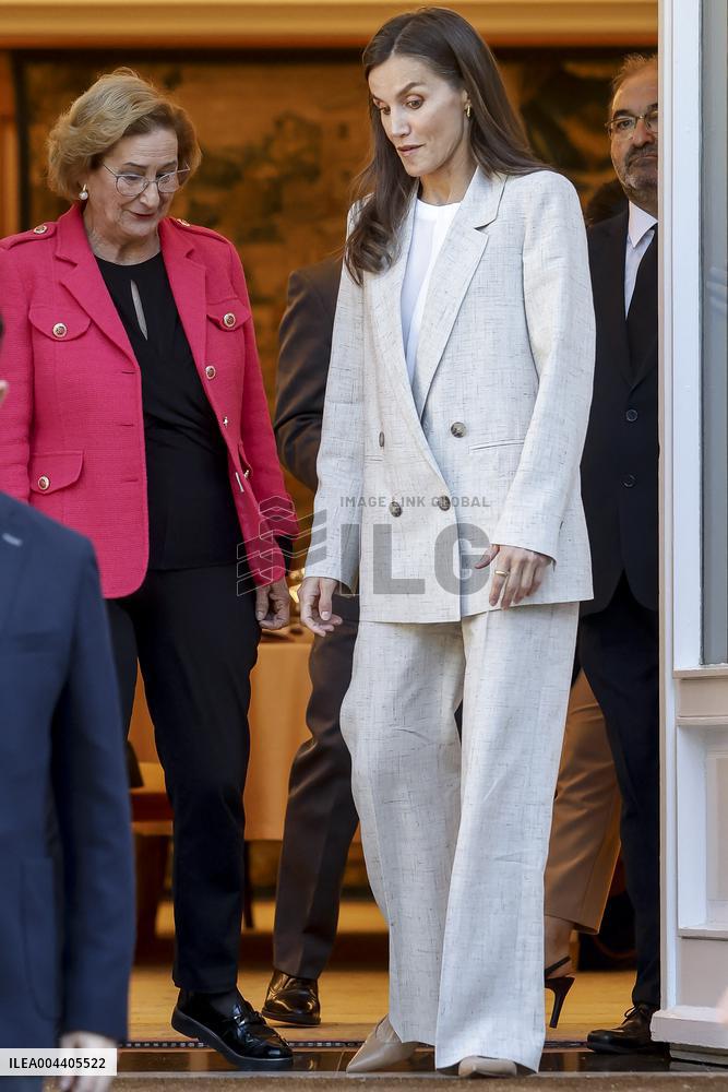 Queen Letizia Royal Audiences - Madrid