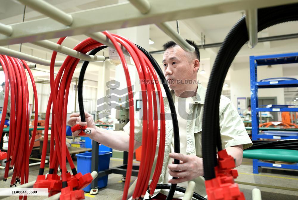 Chinese Automobile Manufacturing Industry