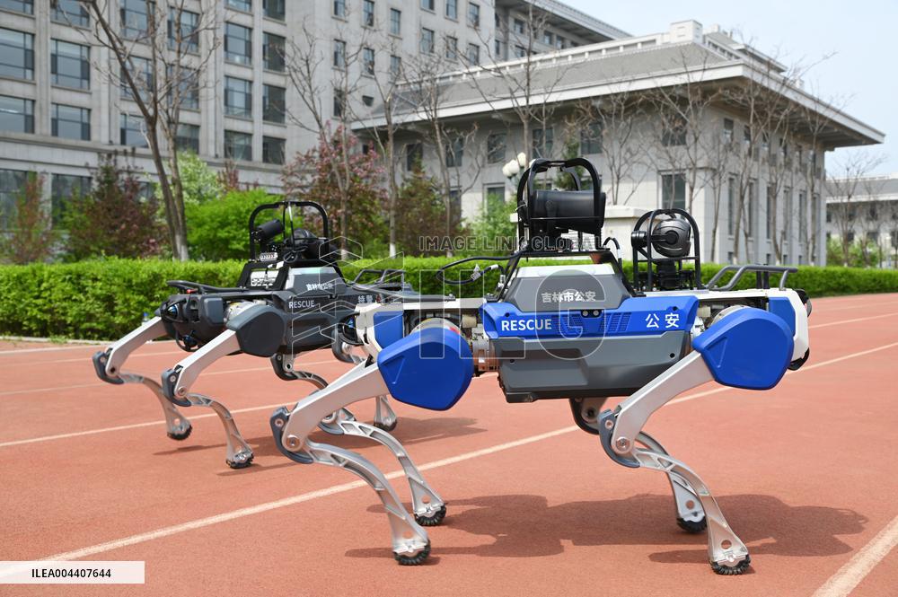 Police Patrol Robot Dog