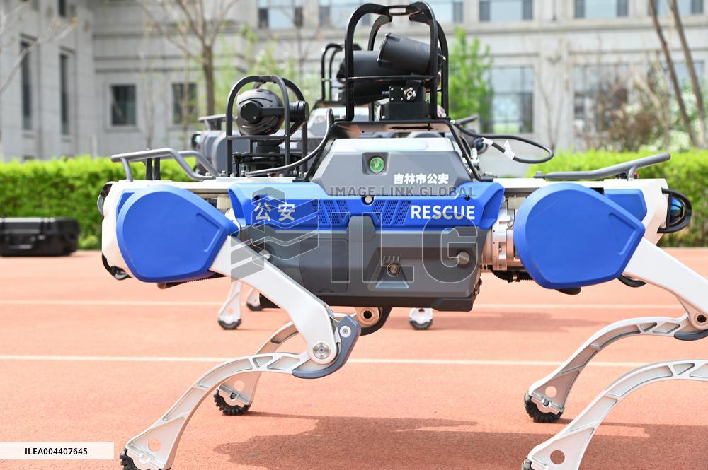 Police Patrol Robot Dog