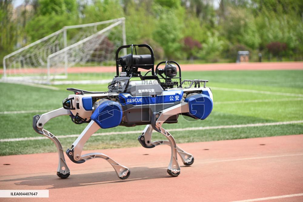 Police Patrol Robot Dog