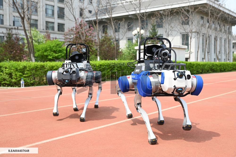 Police Patrol Robot Dog