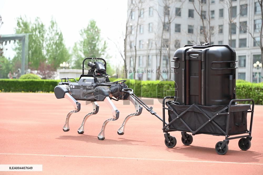 Police Patrol Robot Dog