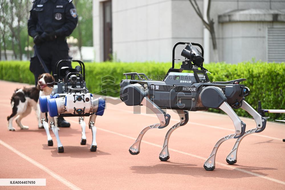 Police Patrol Robot Dog