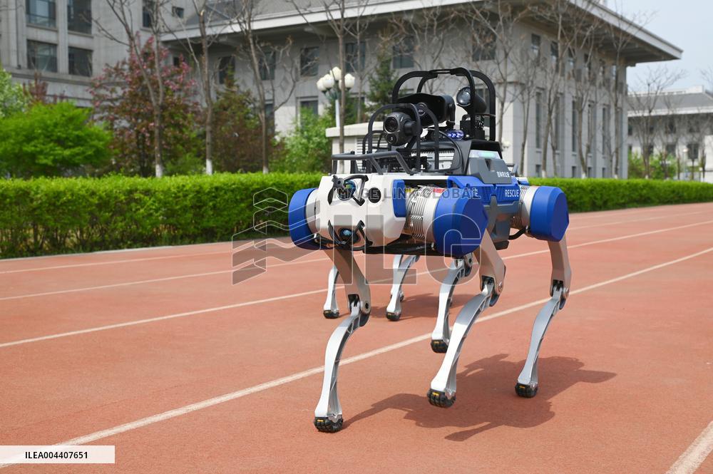 Police Patrol Robot Dog