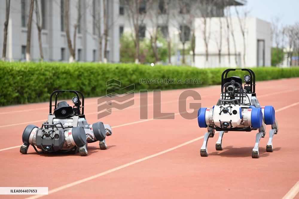 Police Patrol Robot Dog