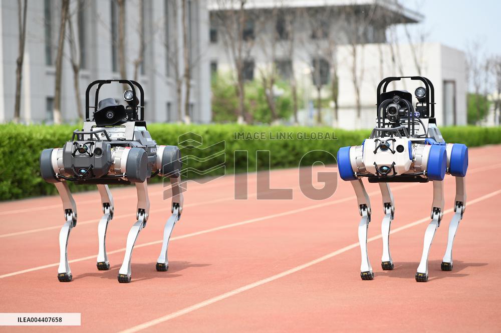 Police Patrol Robot Dog