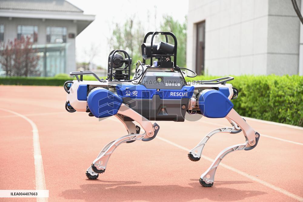 Police Patrol Robot Dog