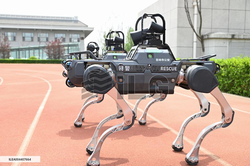 Police Patrol Robot Dog