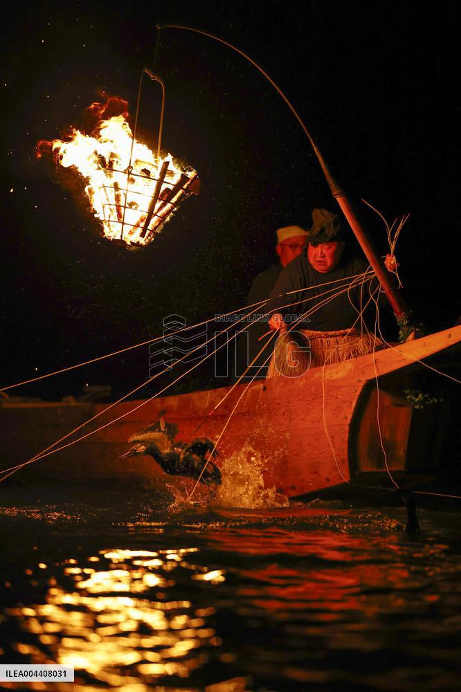 Opening of cormorant fishing season in central Japan
