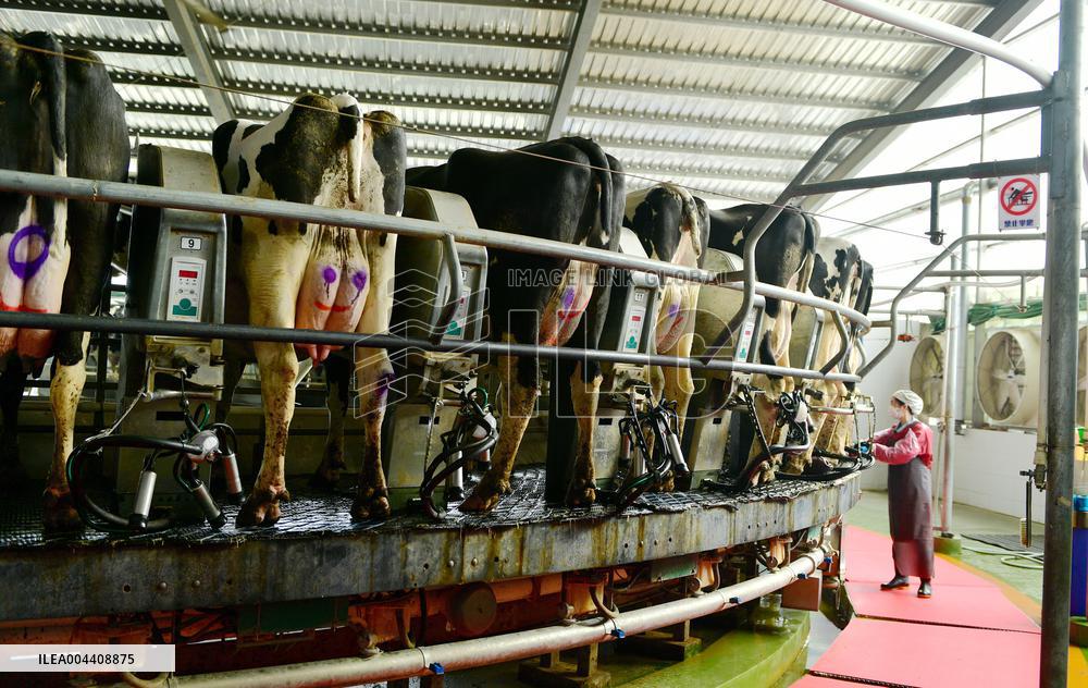 Xiangyang Dairy Farm