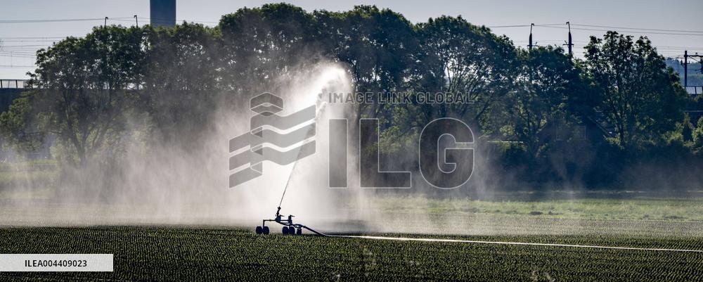 Illustration - Drought Continues to Increase in The Netherlands