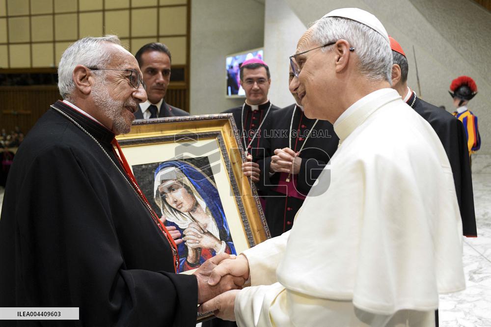 Jubilee Audience with Pope Leo XIV at Vatican