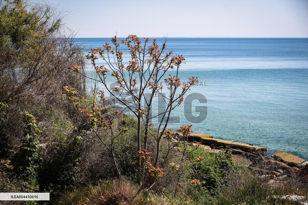 Chornomorka Beach in Odesa