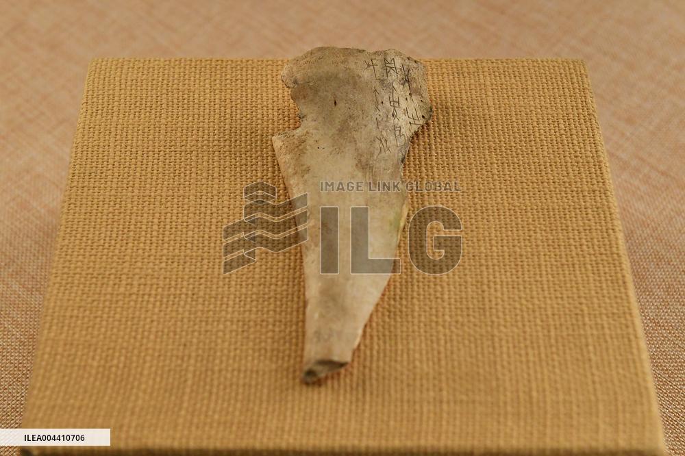 Oracle Bone Fragment