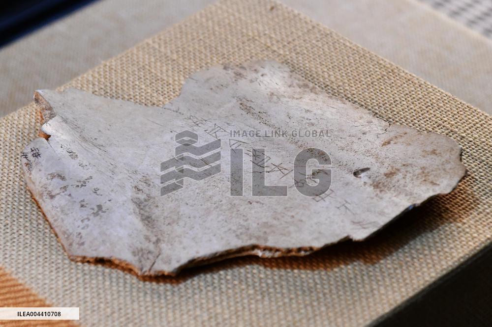 Oracle Bone Fragment