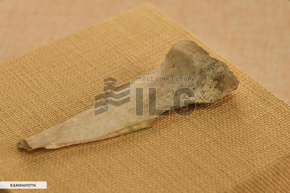 Oracle Bone Fragment