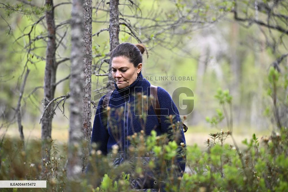 CROWN PRINCESS NORRA KVILL NATIONAL PARK