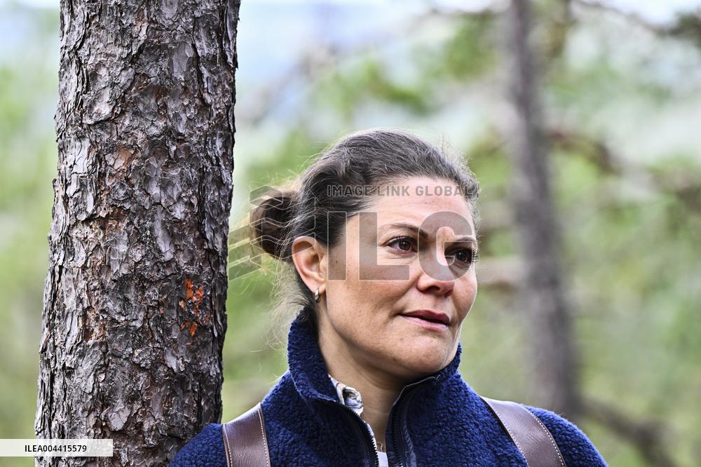 CROWN PRINCESS NORRA KVILL NATIONAL PARK