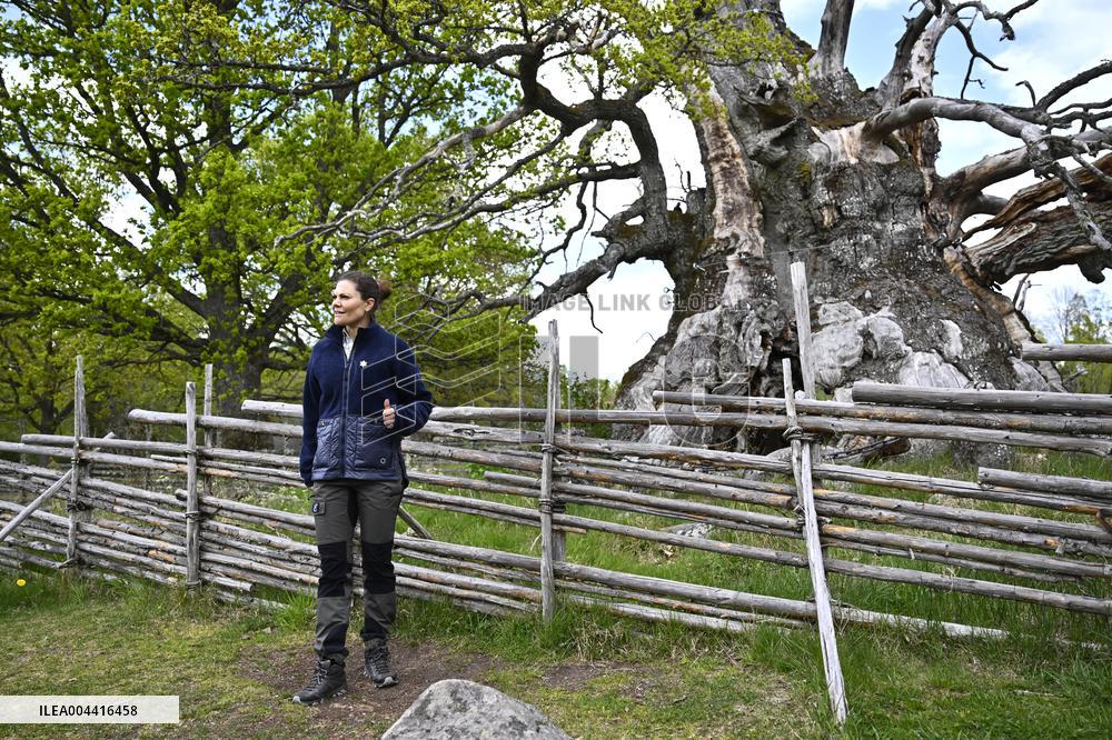 CROWN PRINCESS NORRA KVILLS NATIONAL PARK