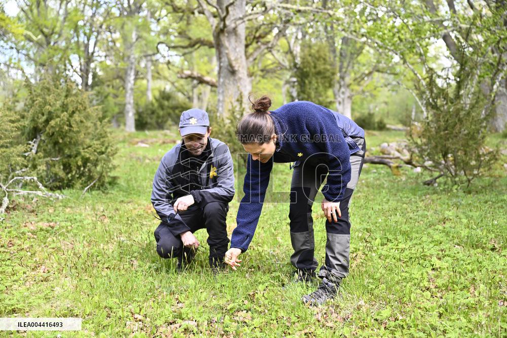 CROWN PRINCESS NORRA KVILLS NATIONAL PARK