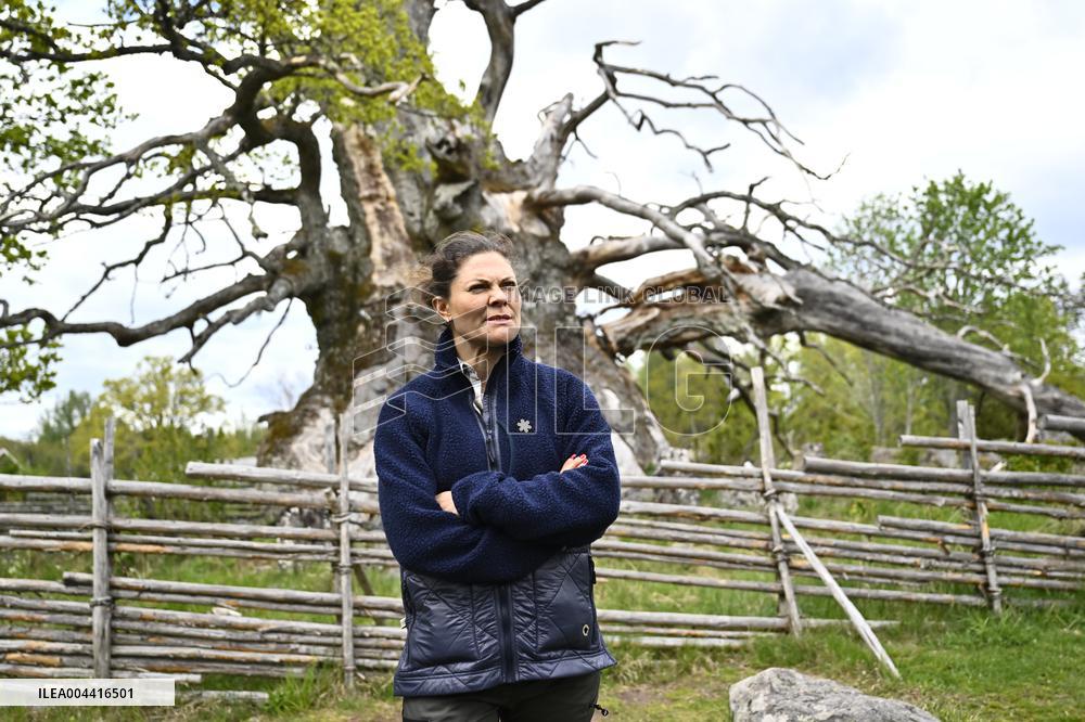 CROWN PRINCESS NORRA KVILLS NATIONAL PARK