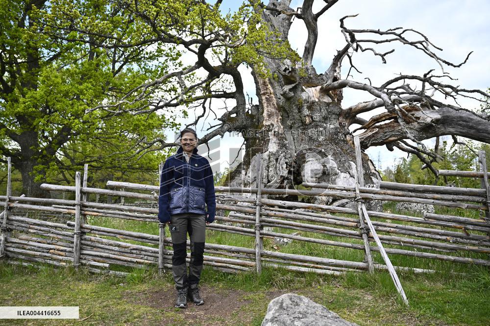 CROWN PRINCESS NORRA KVILLS NATIONAL PARK