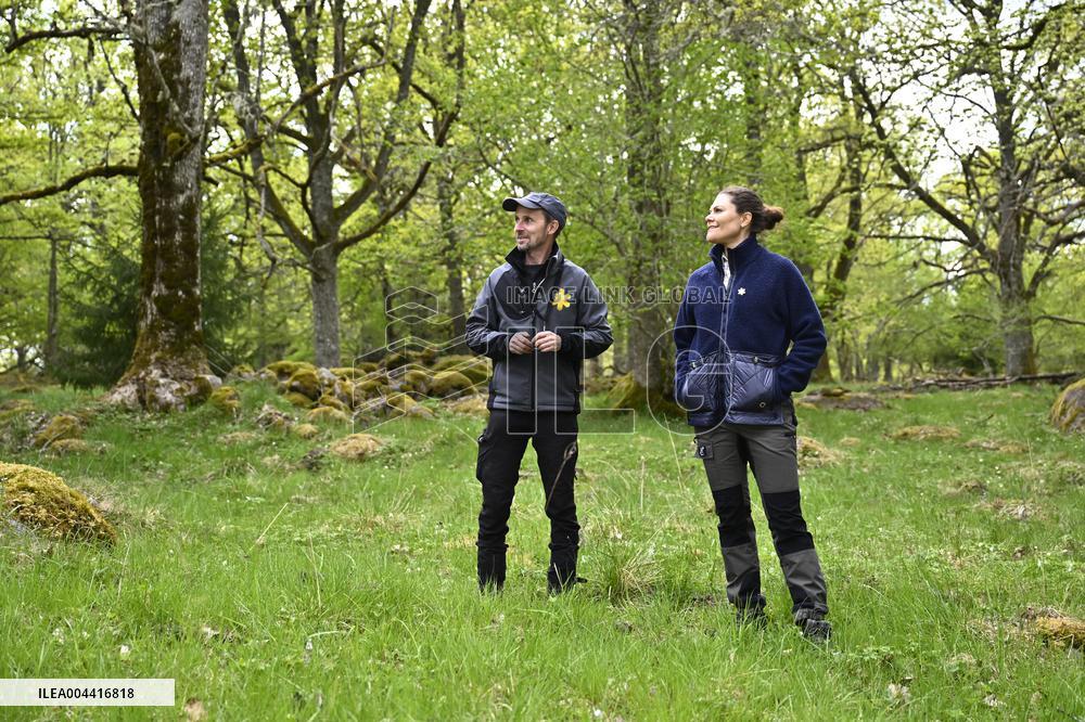 CROWN PRINCESS NORRA KVILL NATIONAL PARK