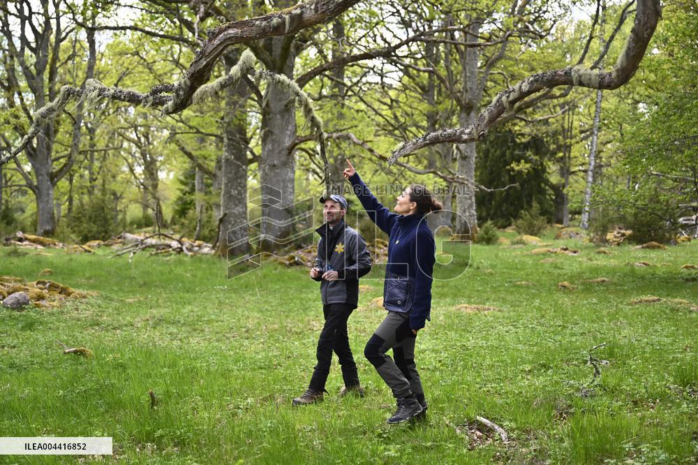 CROWN PRINCESS NORRA KVILL NATIONAL PARK