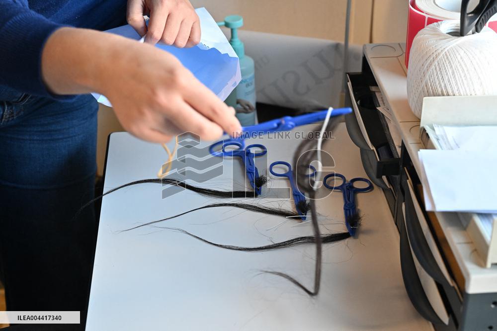 Addictovigilance Center Ilustrations - Paris