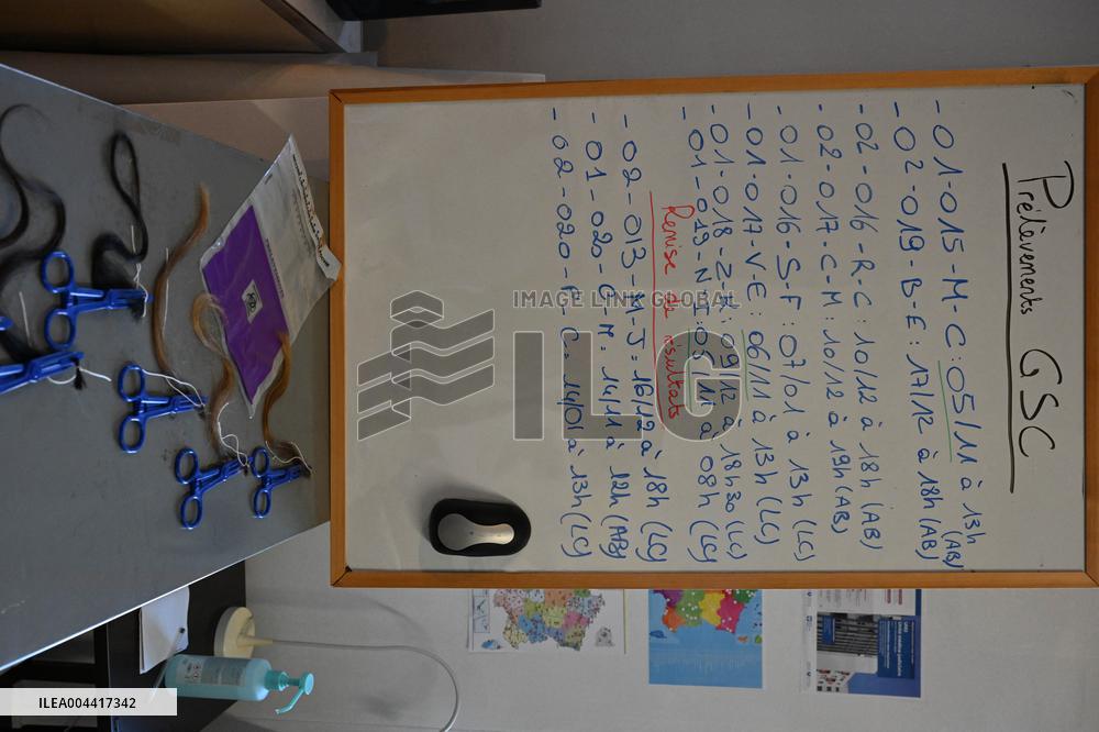 Addictovigilance Center Ilustrations - Paris