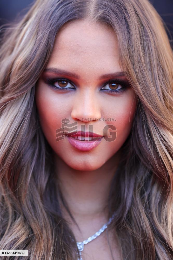 Cannes - Dossier 137 (Case 137) Red Carpet