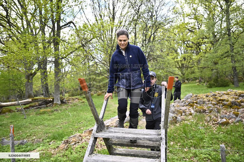 CROWN PRINCESS VICTORIA NORRA KVILL