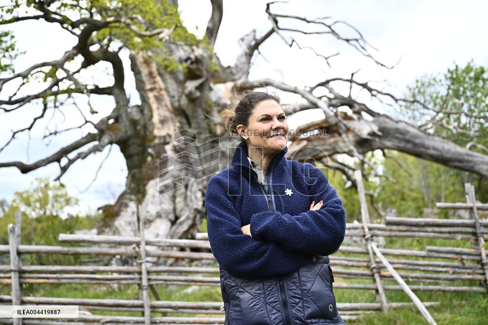 CROWN PRINCESS VICTORIA NORRA KVILL
