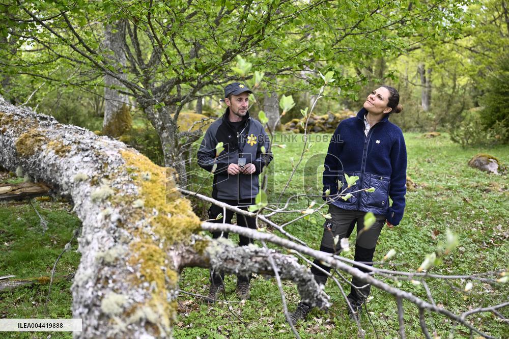 CROWN PRINCESS VICTORIA NORRA KVILL