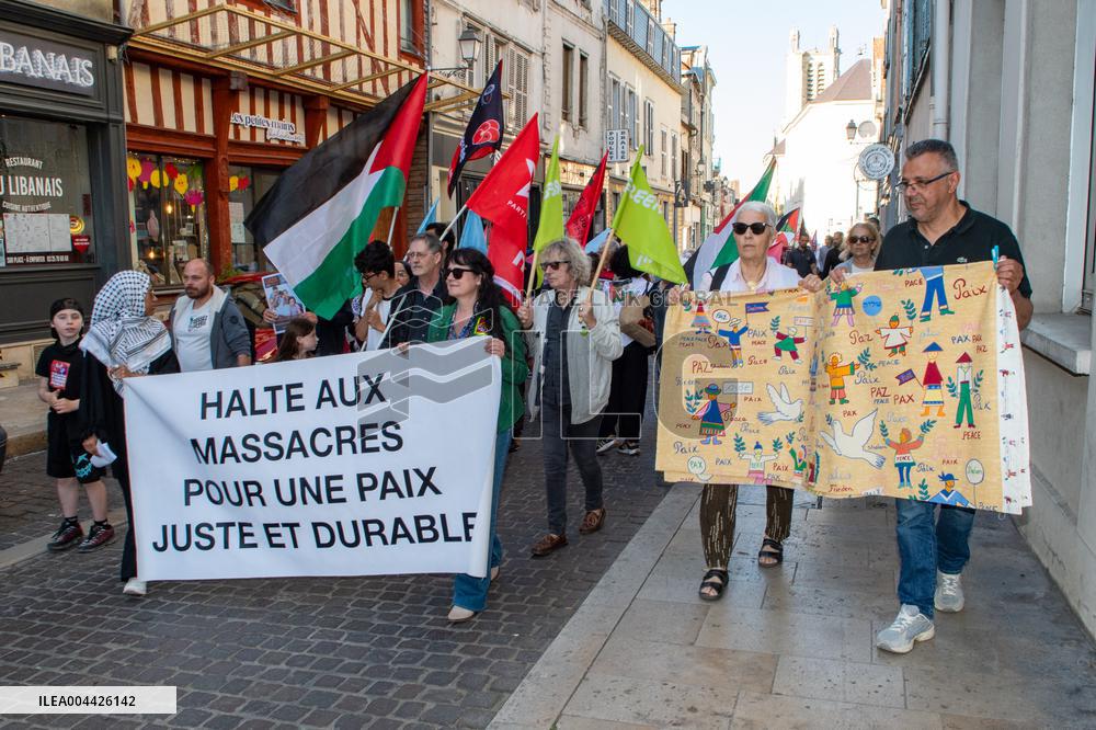 Gaza Peace March Organized By Left-Wing Collective - Troyes